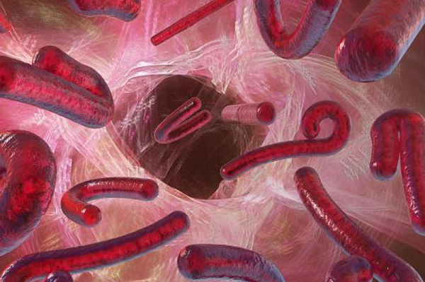 Uji Vaksin Ebola Sukses